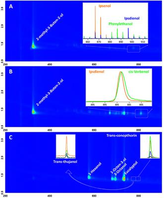 Mitigating Norway spruce mortality through the combined use of an anti-attractant for Ips typographus and an attractant for Thanasimus formicarius